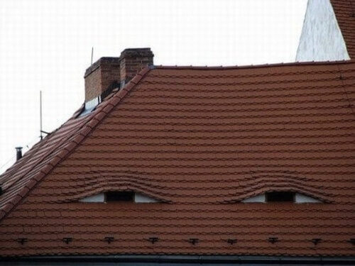 pareidolia çatı