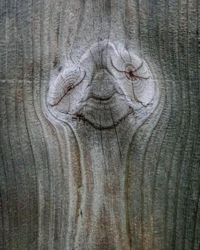 pareidolia tahta