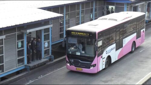 pembe-otobus