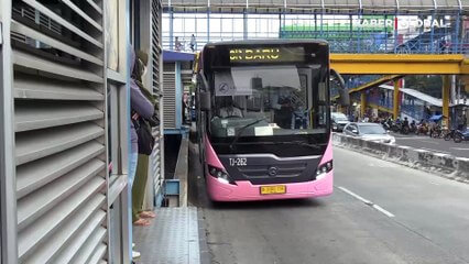 pembe-otobus