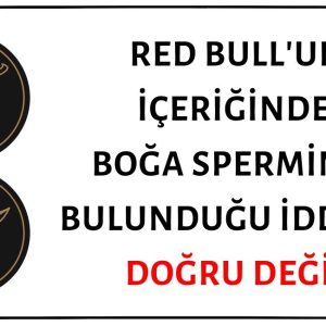 Red Bull'da Boğa Sperminin Yer Aldığı İddiası Asılsız