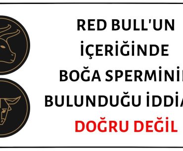 Red Bull'da Boğa Sperminin Yer Aldığı İddiası Asılsız