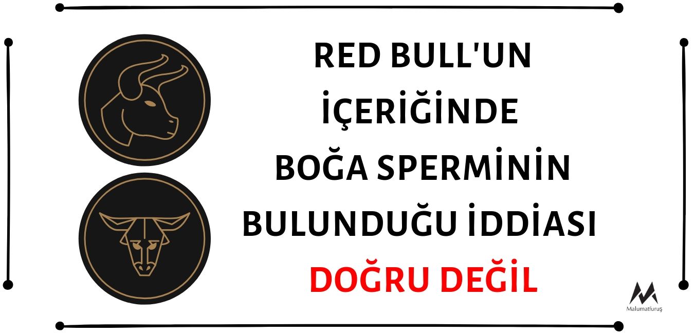 Red Bull'da Boğa Sperminin Yer Aldığı İddiası Asılsız