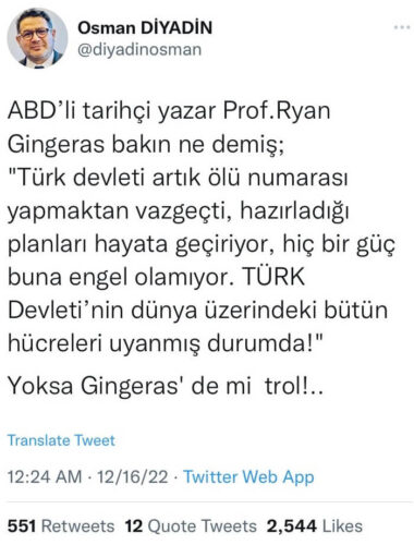 ryan ginderas turk devleti