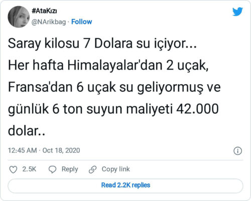 saraya-himalayalardan-su