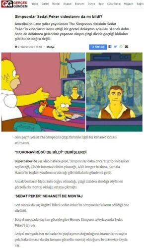 sedat peker simpsons