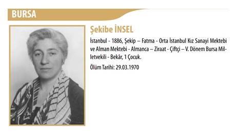 Şekibe İnsel