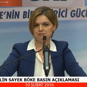 selin-sayek-boke-basin-aciklamasi