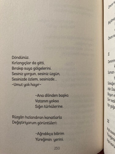 sennur-sezer-yanki