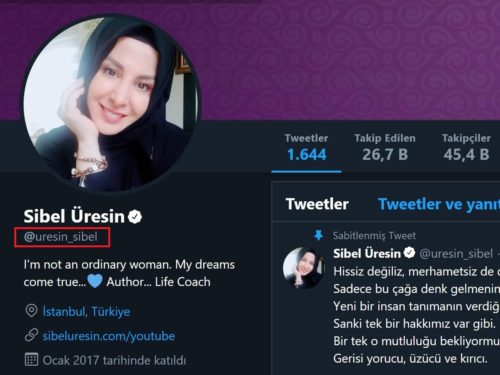 sibel üresin twitter