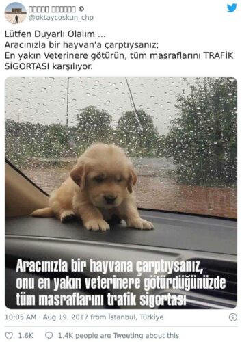 trafik kazasında zarar gören hayvan sigorta şirketi