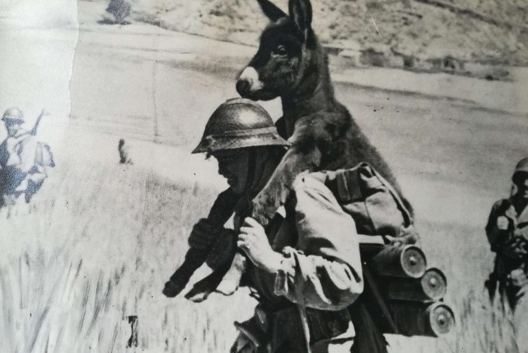 sırtında eşek taşıyan asker