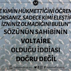 Voltaire'in “Size Kimin Hükmettiğini Öğrenmek İstiyorsanız, Sadece Kimi Eleştirmeye İzniniz Olmadığını Bulun” Sözünün Sahibi Olduğu İddiası Asılsız