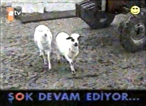 sok devam ediyor