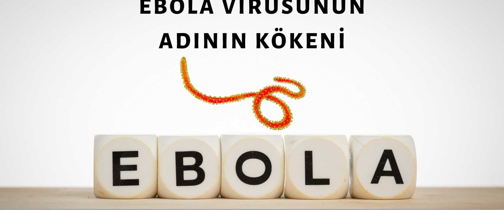 ebola kökeni