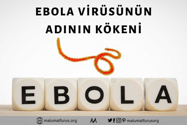 ebola kökeni