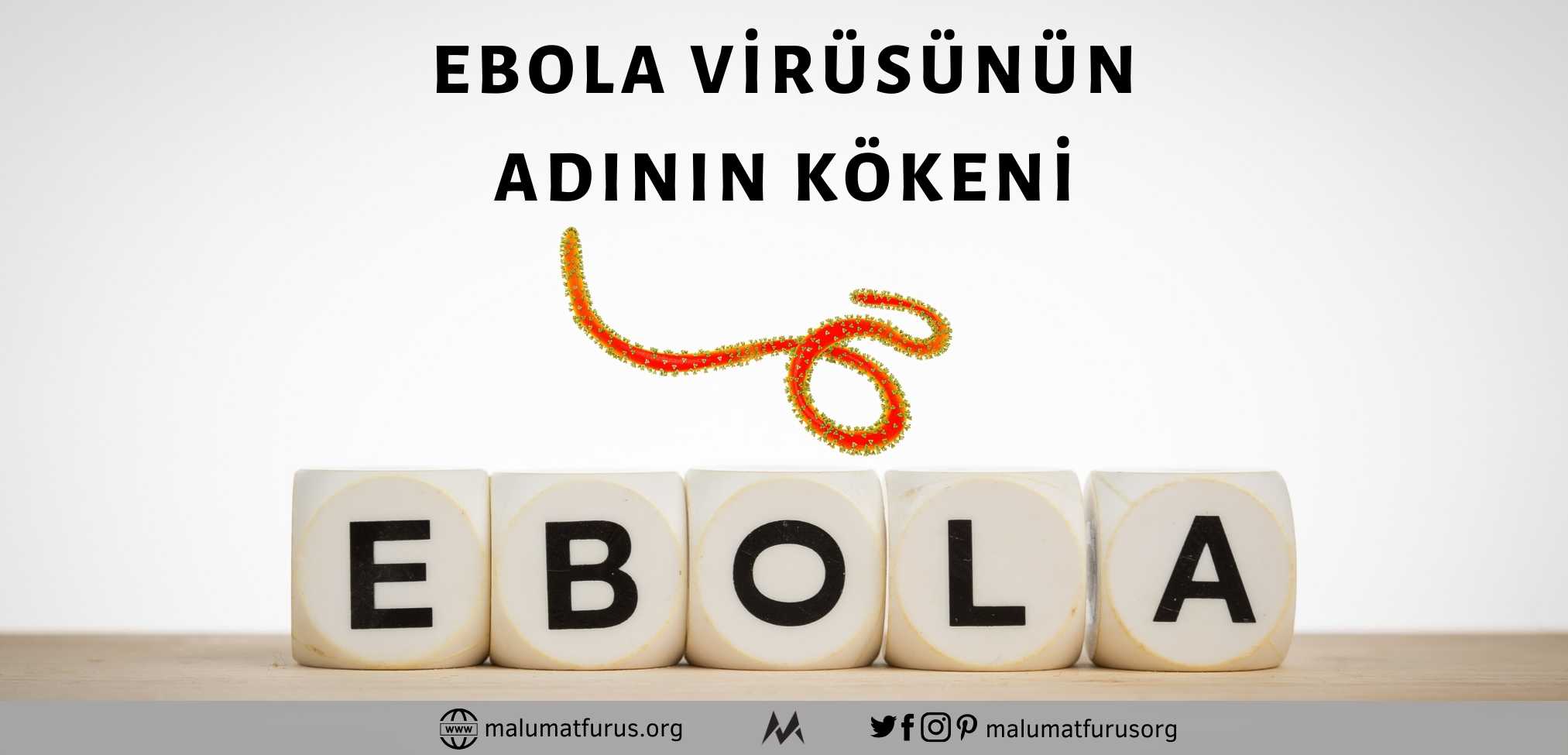 ebola kökeni