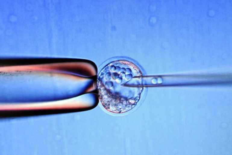 sperm yumurta embriyo