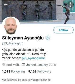 Süleyman Ayanoğlu