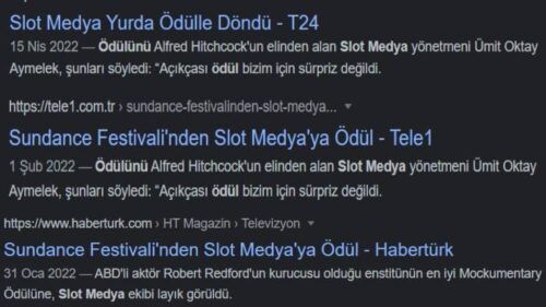 sundance festivalinden odul