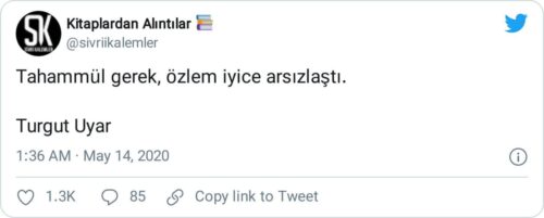 Tahammül Gerek Özlem İyice Arsızlaştı