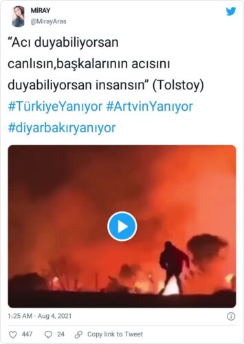 tavşan yangın