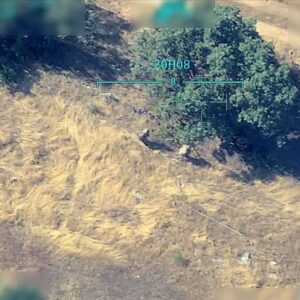 teröristler orman yangını çıkarırken