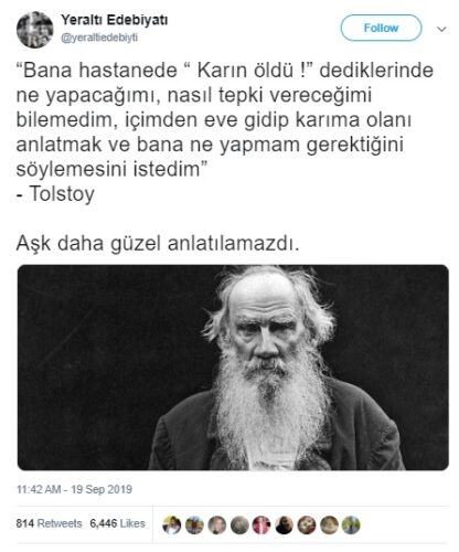 tolstoy karin oldu