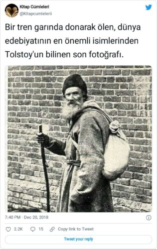 tolstoy tren garinda donarak