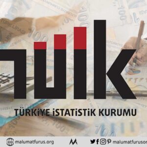 tüik hesap