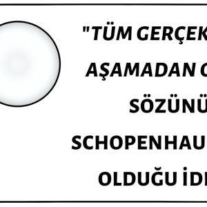 Schopenhauer'in "Tüm Gerçekler Üç Aşamadan Geçer, Önce Alaya Alınırlar, Sonra Kendilerine Şiddetle Karşı Çıkılır ve Son Olarak ise Doğruluklarının Çok Açık Olduğu İlan Edilir" Sözünün Sahibi Olduğu İddiası Doğru Değil