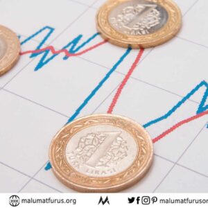 reel efektif döviz kuru endeksi