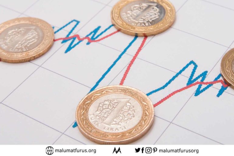reel efektif döviz kuru endeksi