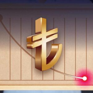 türk lirası düşüş