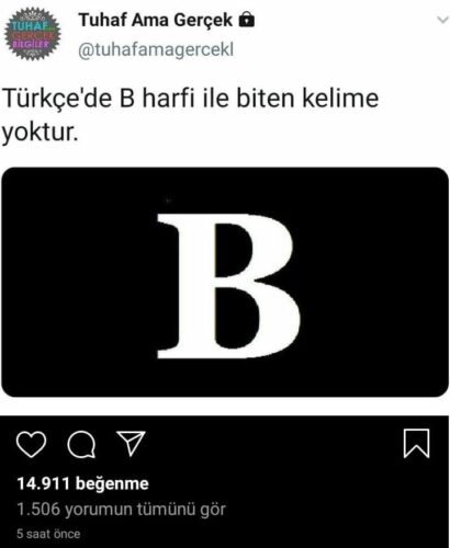 türkçe b ile biten kelime