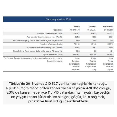 türkiye kanser istatistikleri
