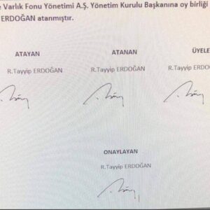 türkiye varlık fonu atama kararı