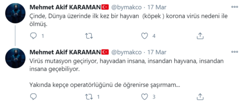 evcil hayvandan koronavirüs