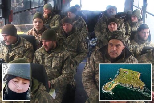 ukrayna yilan adasi askerleri