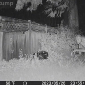 uzayli-goruntusu-gorsel-efekt