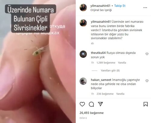 uzerinde numara bulunan sivrisinekler