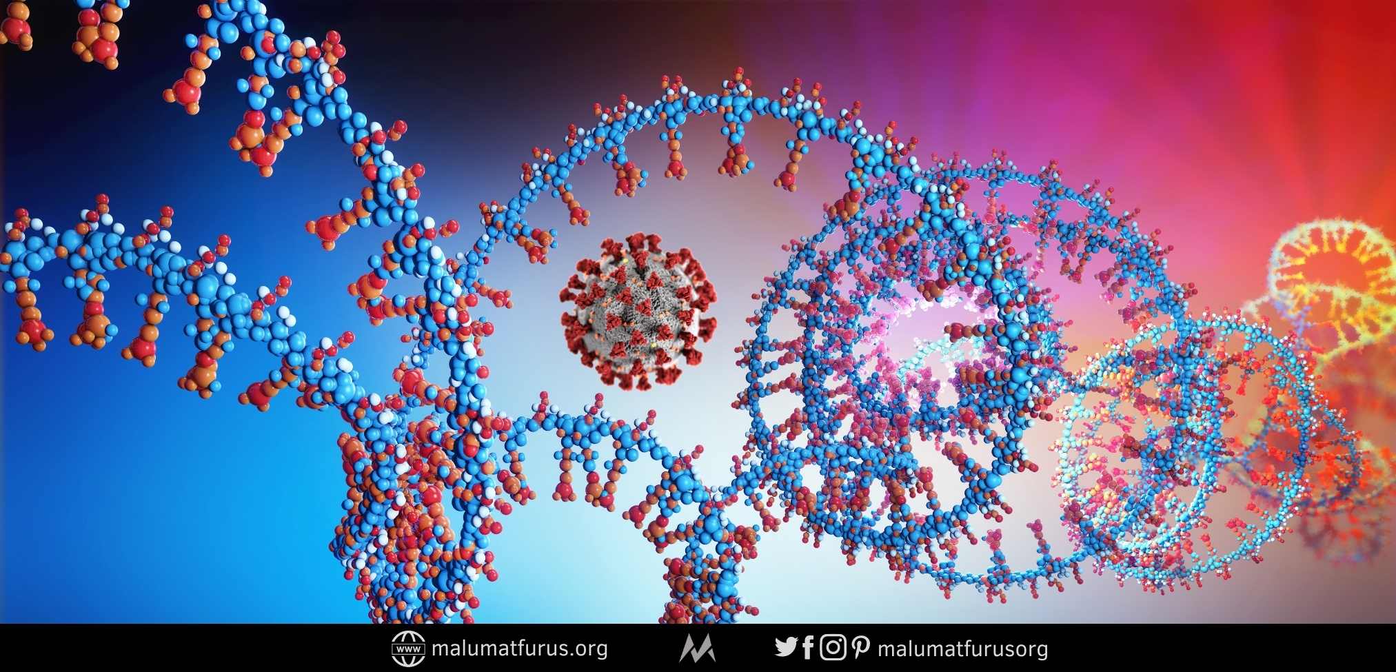 virüs rna