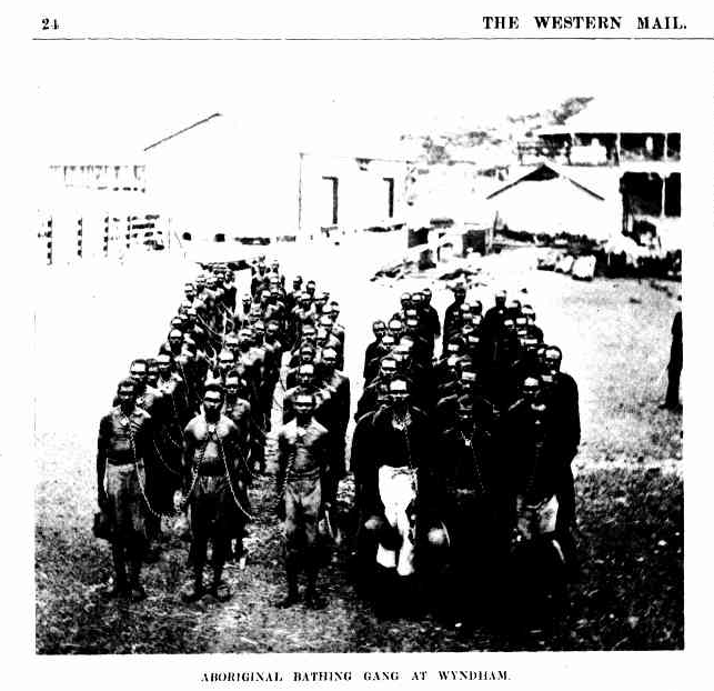 Avustralya'daki Western Mail Gazetesinin 24. sayfasında 18 Şubat 1905 tarihinde yayınlanan fotoğraf