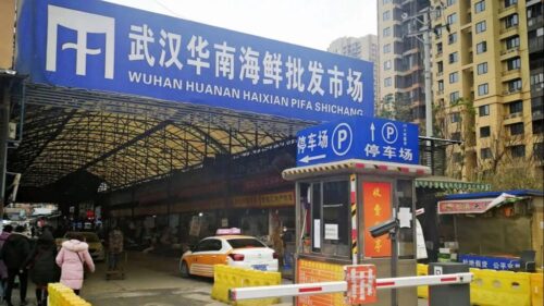 wuhan vahsi hayvan pazari