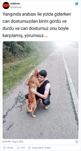 yangında insana sarılan köpek