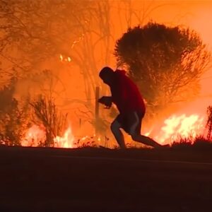 yangından tavşanı kurtaran
