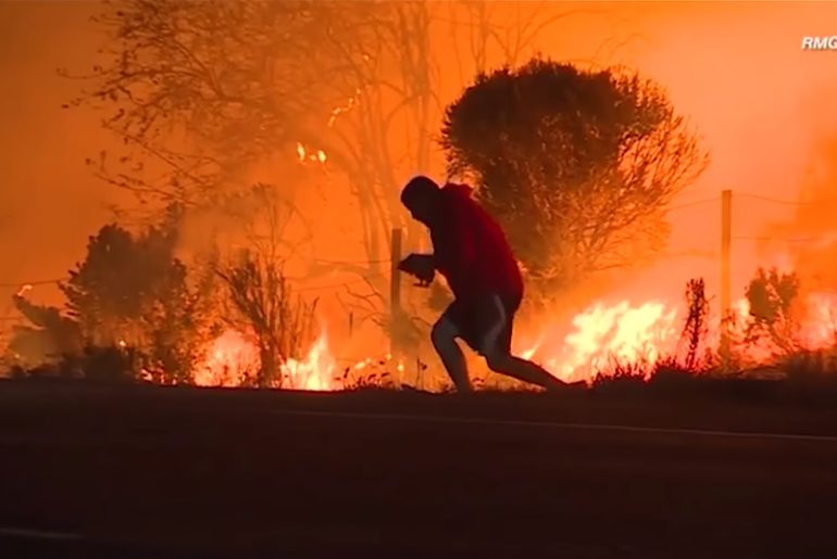 yangından tavşanı kurtaran