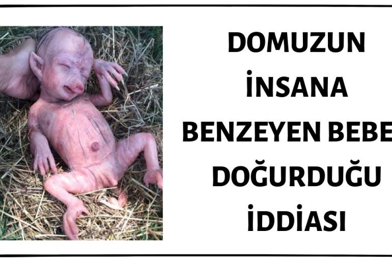 Fotoğraftaki Yaratığın Domuzun Doğurduğu İnsana Benzeyen Bebek Olduğu İddiası Asılsızdır