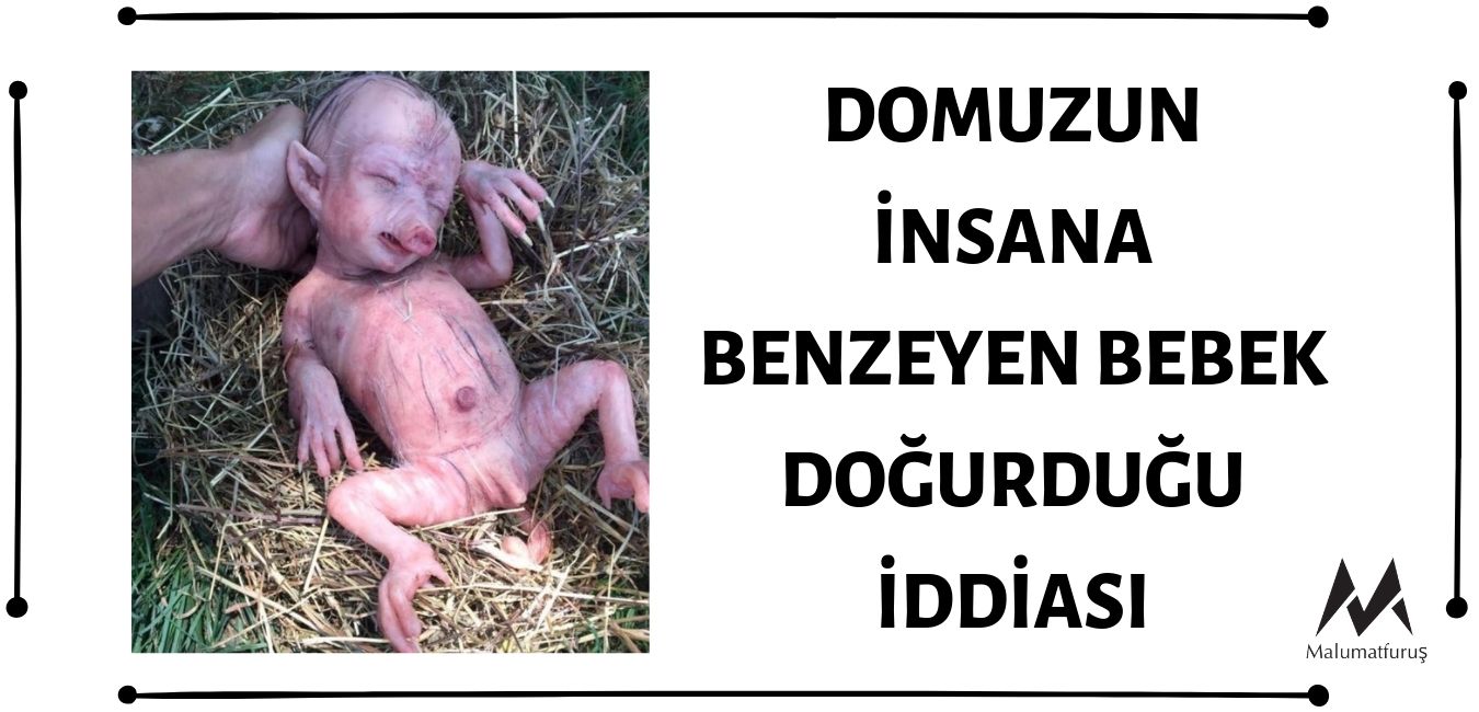 Fotoğraftaki Yaratığın Domuzun Doğurduğu İnsana Benzeyen Bebek Olduğu İddiası Asılsızdır