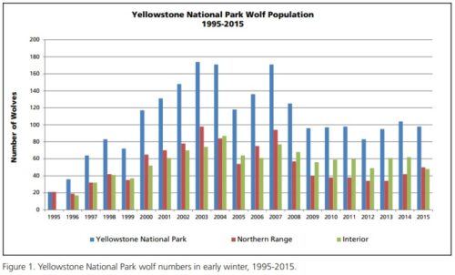 yellowstone-kurt-nufusu